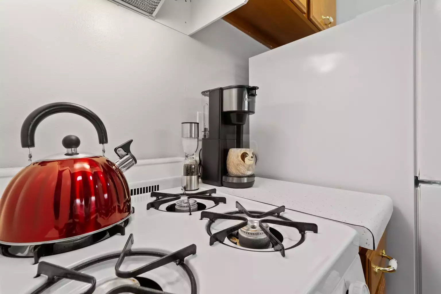 Stove, fridge and microwave included for your convenience.