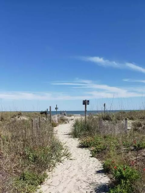1 minute walk from your own beach cottage to this!