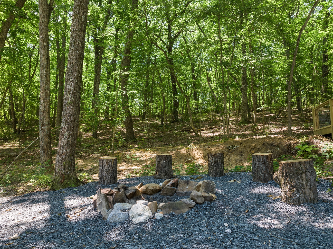 Fire pit area - extendable marshmallow roasters are in the kitchen :) - The Otter Box Cabin - Fort Payne