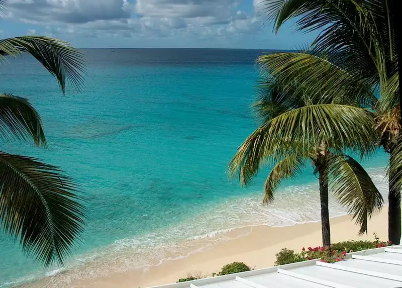 cadia-cucpecoy-dutch/