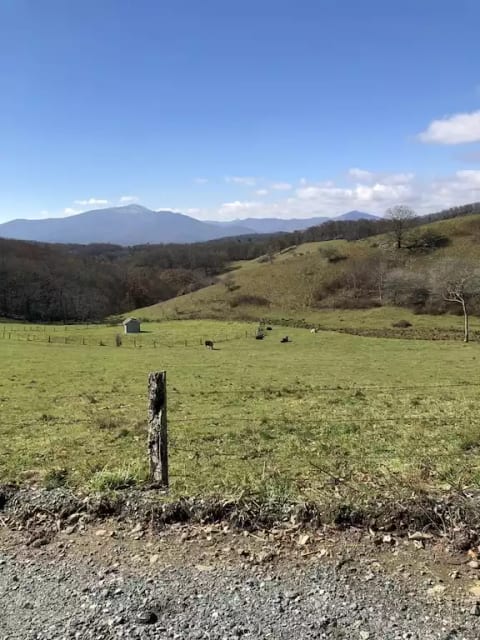 Moses Cone - one of the views from the walking trails on a crisp early summer day. 