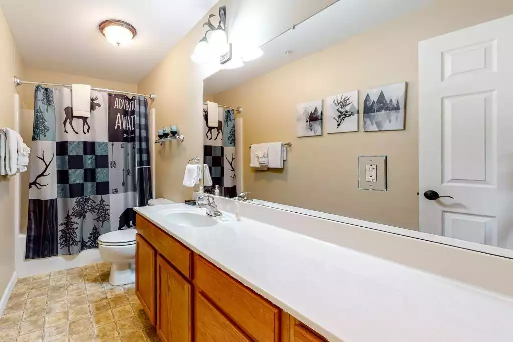 Guest Bathroom - Bandit's Riverfront Retreat - Sevierville