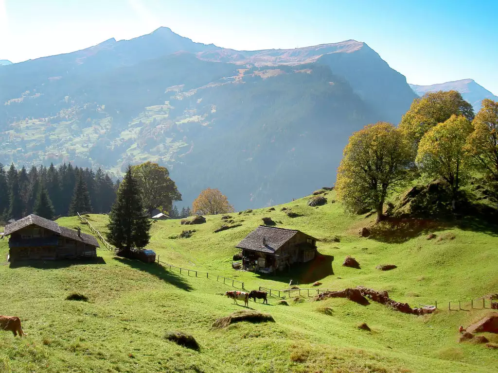 Chalet Eiger - Grindelwald