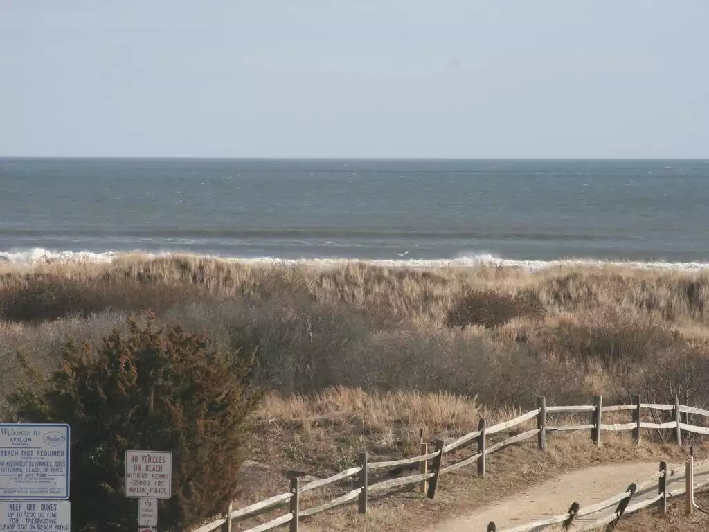 south-end-avalon-beach-block-3rd-h/