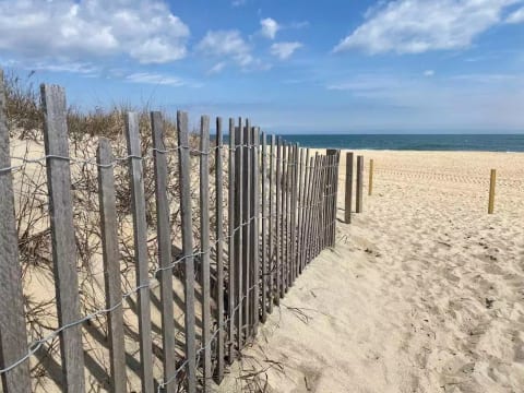 Path to the beach