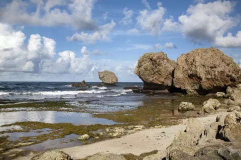 ZaZen - East Coast - St. Josep