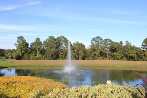 THE HAVEN IN EMERALD ISLAND