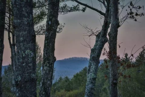 Enjoy the views and peacefulness of the North Georgia mountains.
