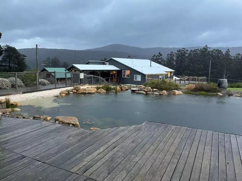 View of house from natural swimming pool
