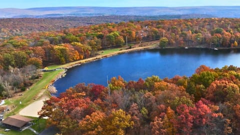 Fall Foliage Aerial View