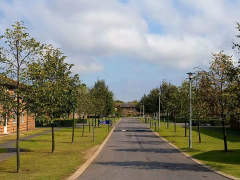 University Campus Park Wood