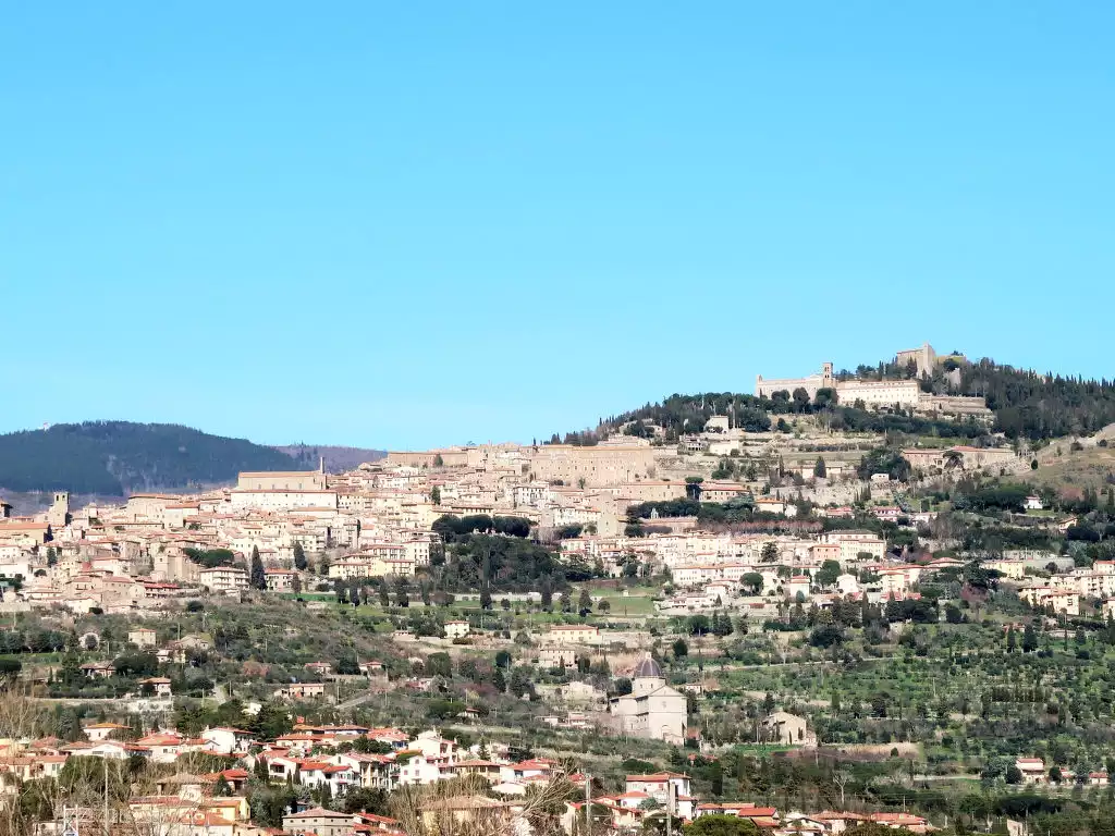 Cortona Sunshine - Cortona