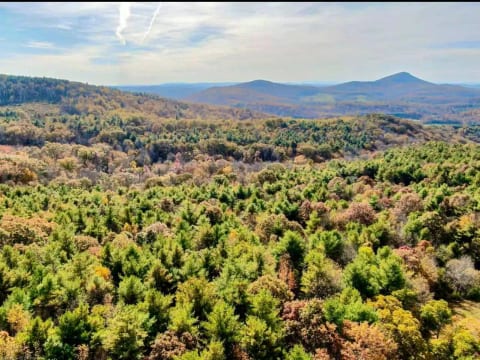 Pure beauty! Forest and Buffalo Mountain.