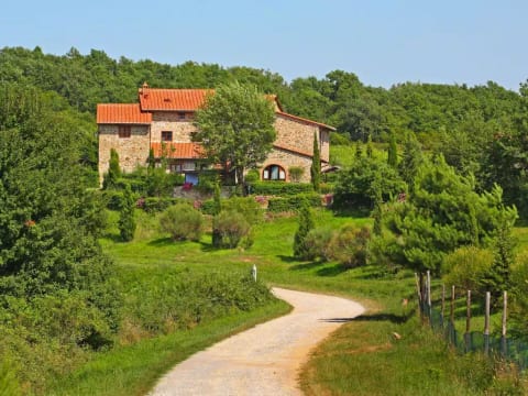La Colomba n°4