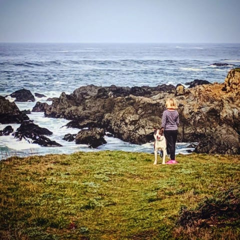 Great location at The Sea Ranch - Ocean Views!