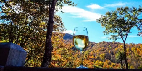 Fall Foliage - Relax and unwind