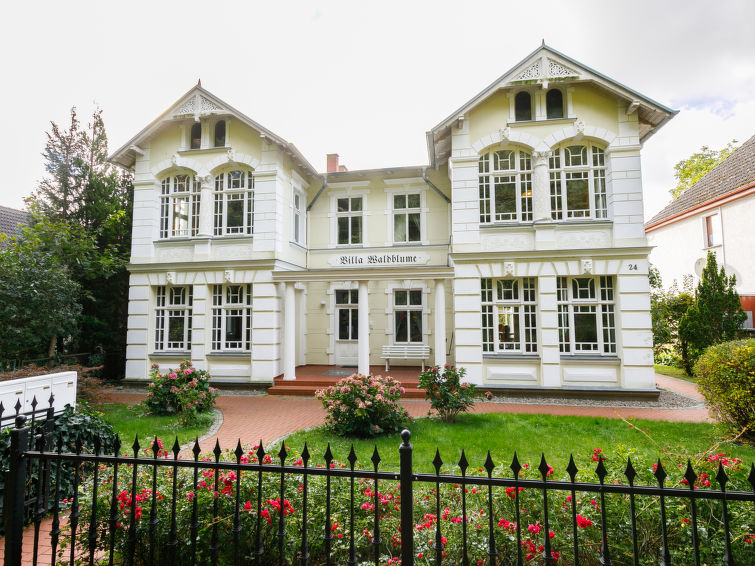 House - Villa Waldblume - Zempin