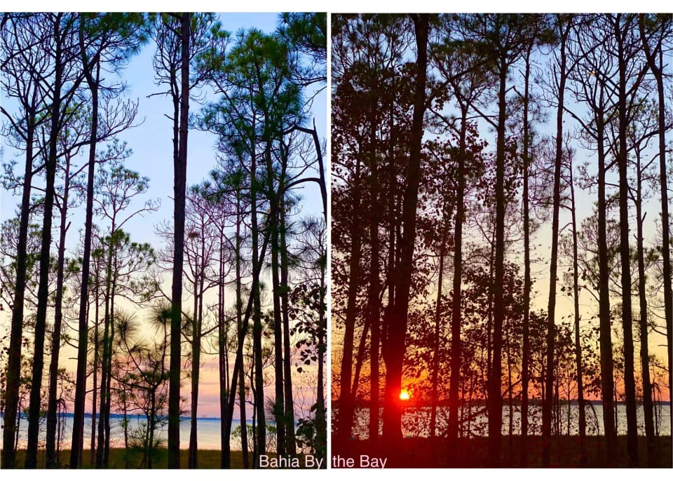 Beautiful views of the Bay morning and night