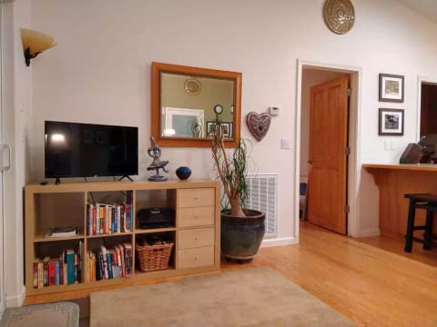 Smart TV, bluetooth enabled mini-stereo, Dvd player.