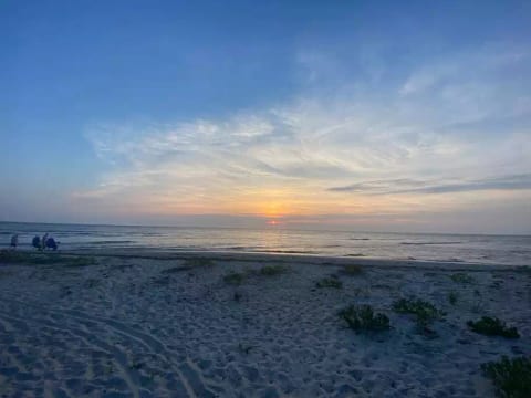 Seas the Day by the Bay