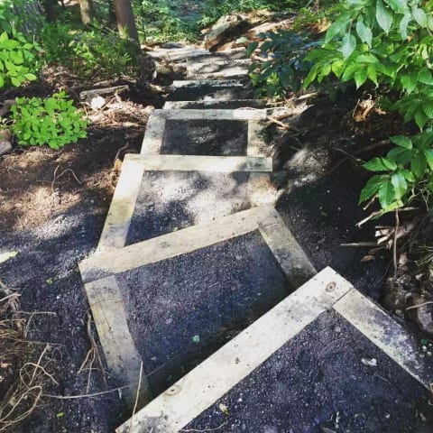 Stairs down to the pond