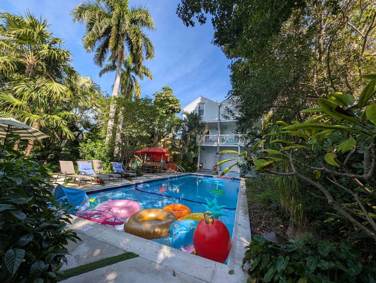 Cathouse Old Town Tropical Oasis Huge Pool/Parking