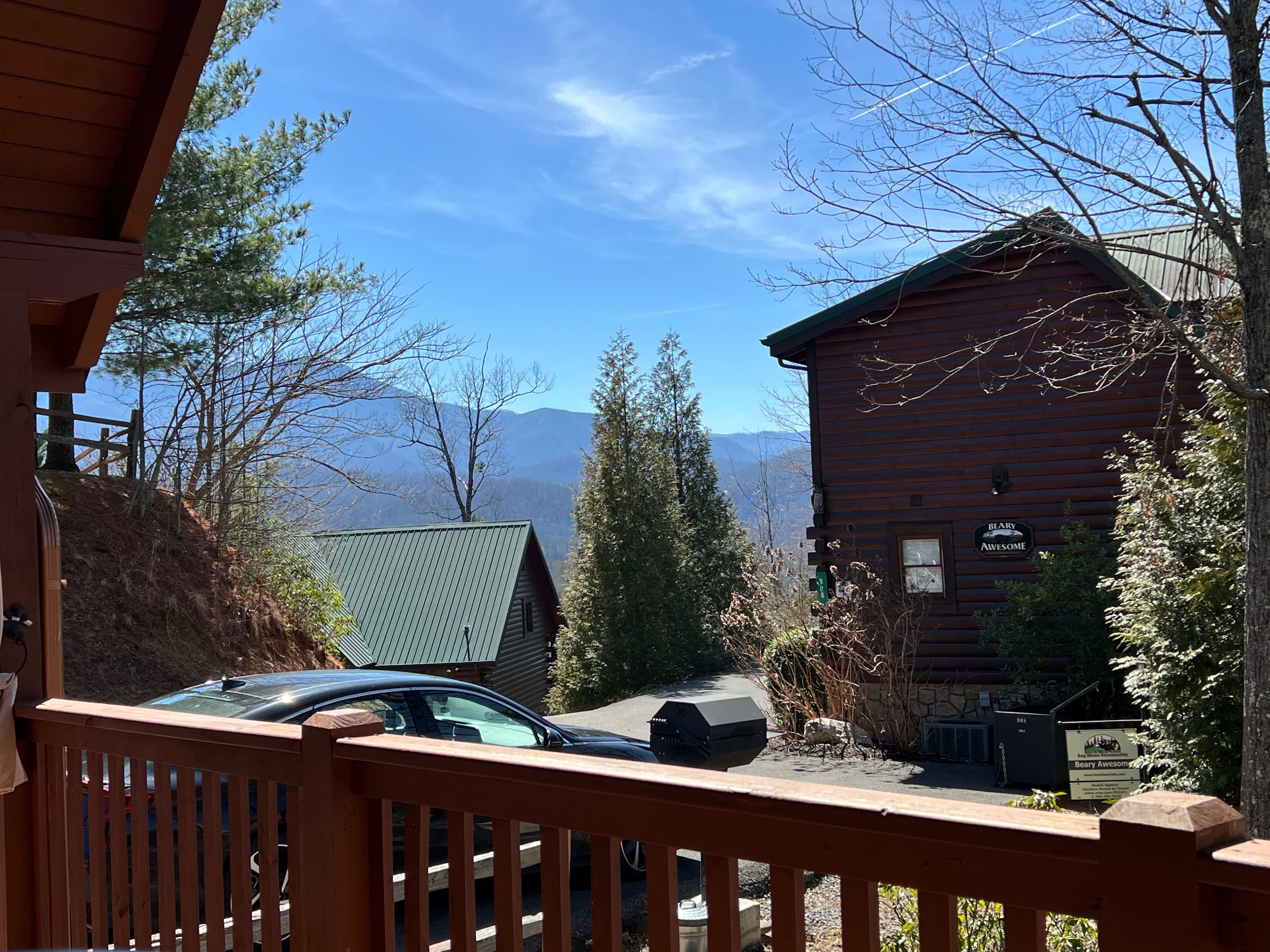 View of Mt. Le Conte from the front Deck.