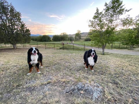 Highlands House - Montana Mountain Ranch Retreat
