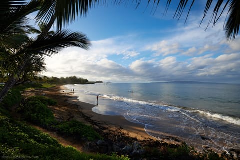 Kamaole Beach II, looking south. Ten minute walk from the suite.