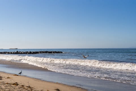 Ventura Beach Loft 36
