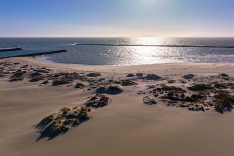 1000 Star Gazer Beach House
