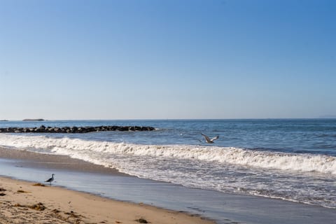 Ventura Beach Loft 32