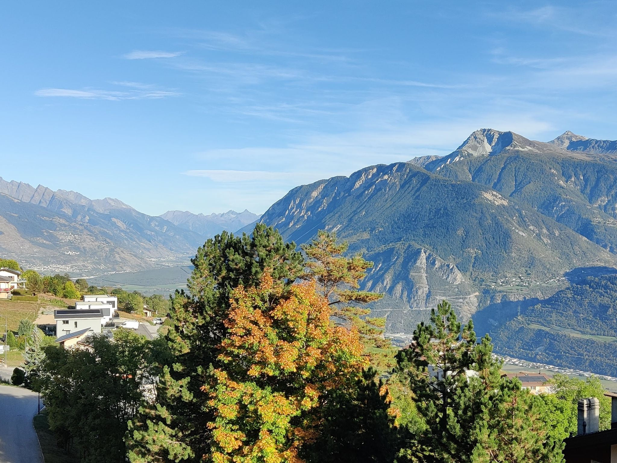 View