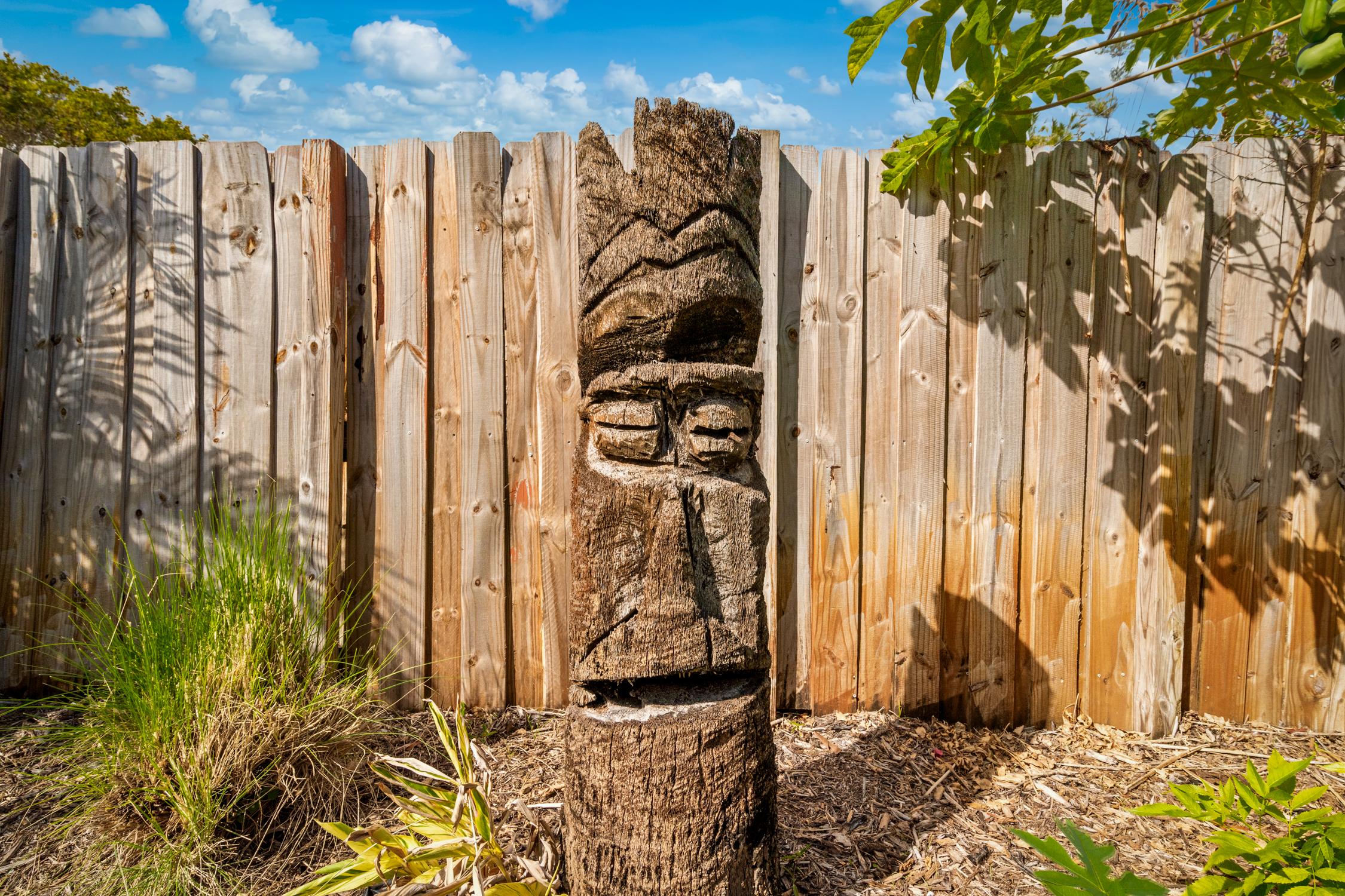 For all your social media needs 