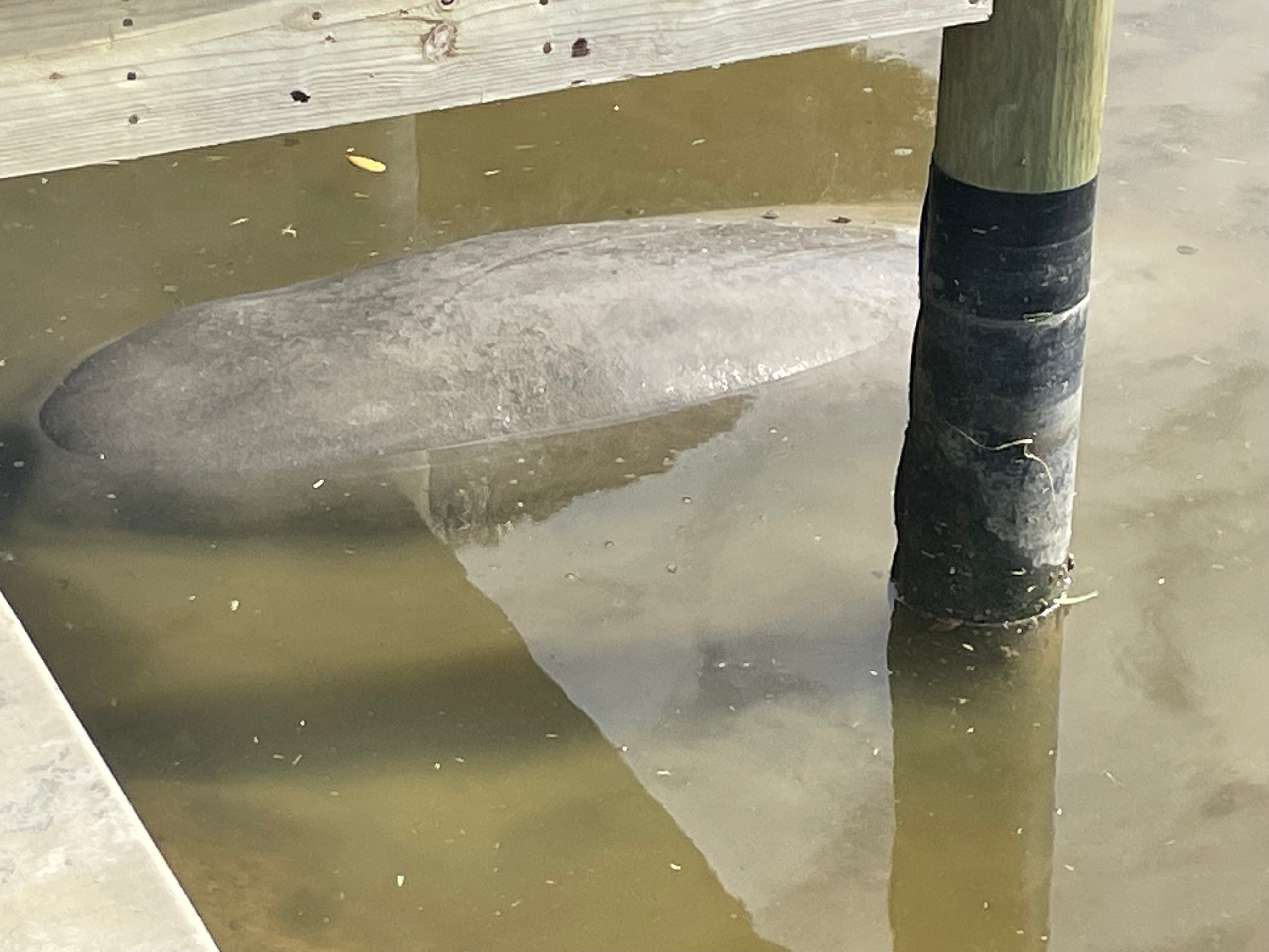 OCEAN VIBES-NEW HOME IN SW CAPE CORAL - Photo 35