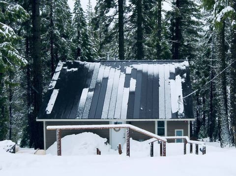 Modern-Chic Lassen Cabin