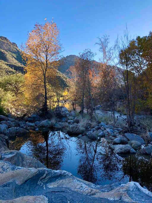 Sabino Canyon Sabino Canyon - Happy Cactus: Repeat Guest /Direct Booking Site - Oro Valley