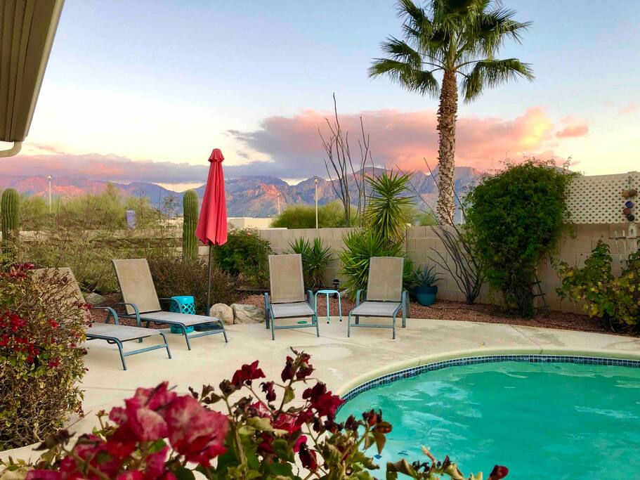 Happy Cactus: Repeat Guest /Direct Booking Site - Oro Valley Happy Cactus: Repeat Guest /Direct Booking Site - Oro Valley