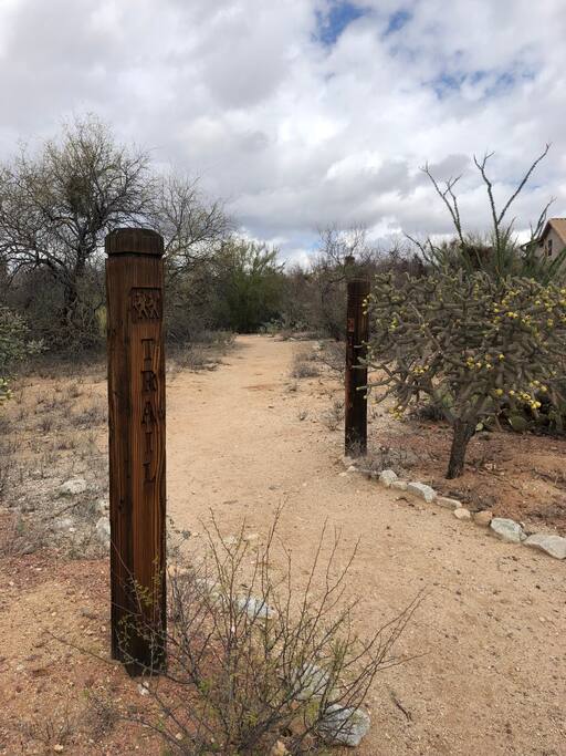 Neighborhood Walking Trails - Happy Cactus-Repeat Guest  & Direct Booking Site - Oro Valley