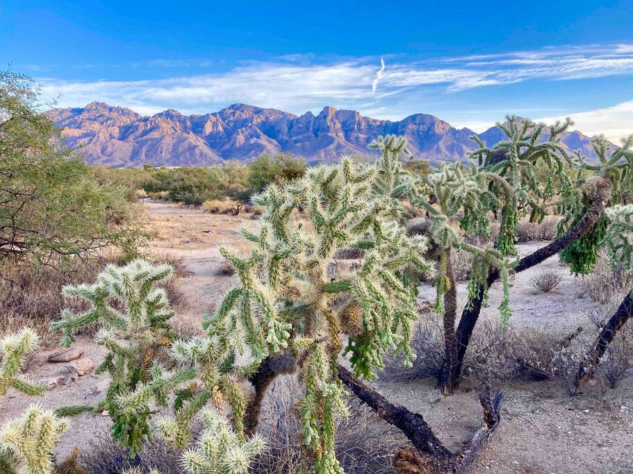 Honey Bee Canyon - Happy Cactus-Repeat Guest  & Direct Booking Site - Oro Valley