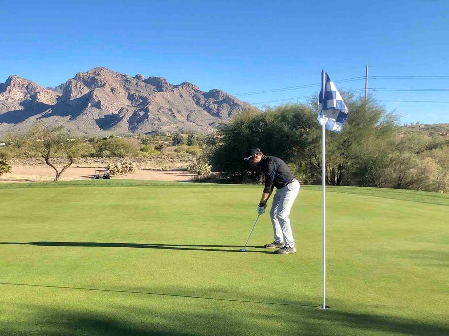 Happy Cactus: Repeat Guest /Direct Booking Site - Oro Valley Happy Cactus: Repeat Guest /Direct Booking Site - Oro Valley