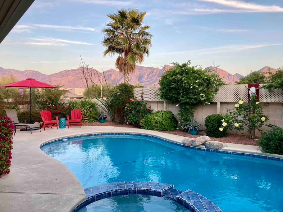 Backyard Oasis