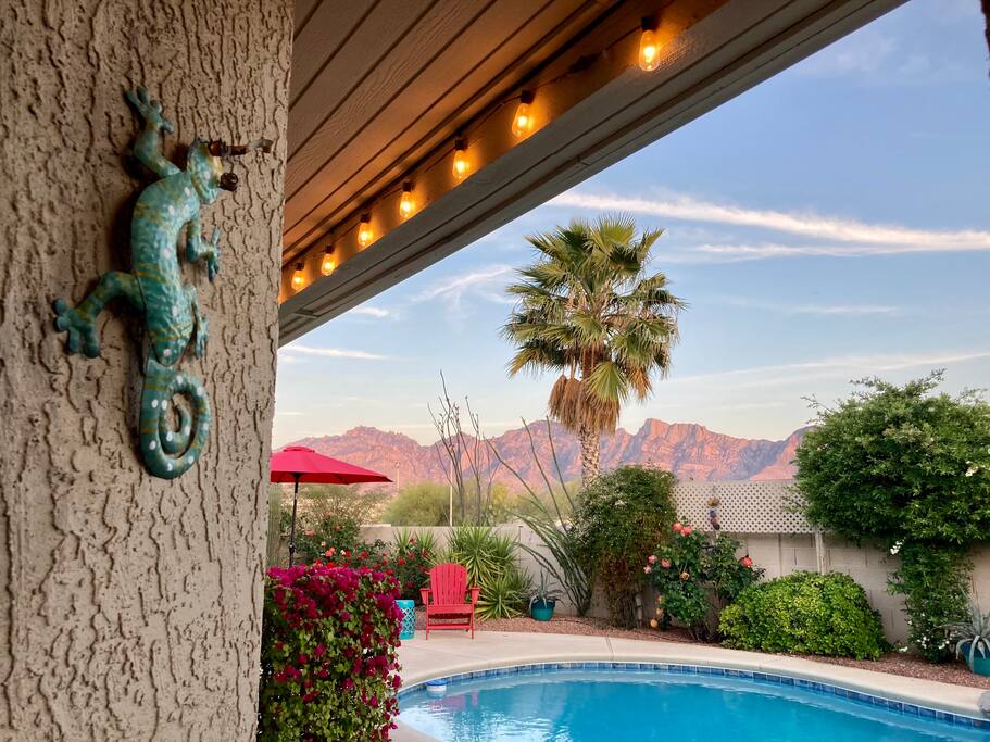 Happy Cactus: Repeat Guest /Direct Booking Site - Oro Valley Happy Cactus: Repeat Guest /Direct Booking Site - Oro Valley