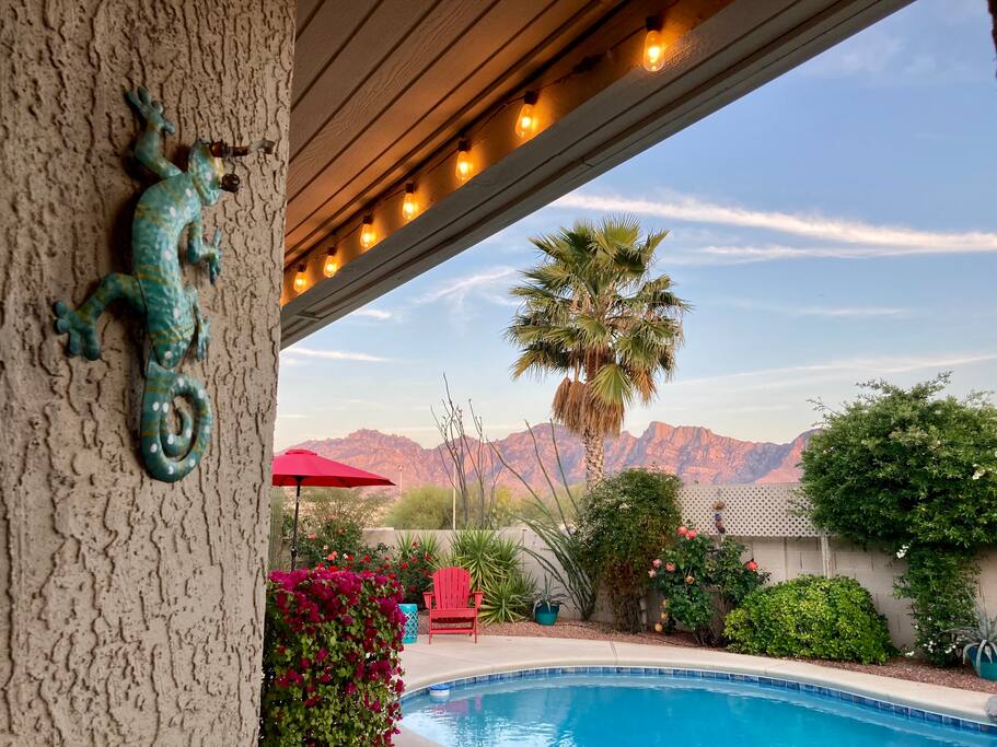 Happy Cactus-Repeat Guest  & Direct Booking Site - Oro Valley