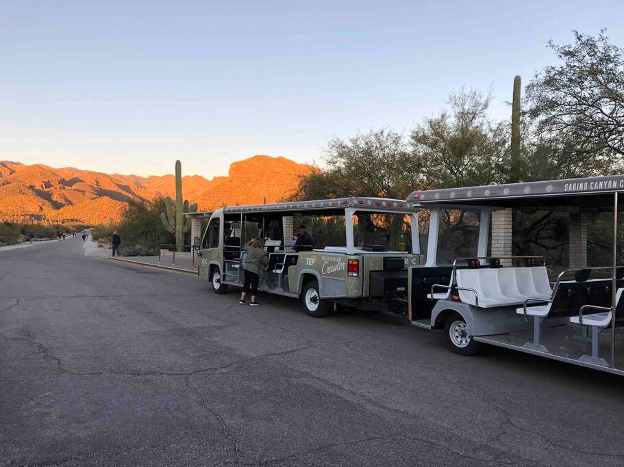 Sabina Canyon - Happy Cactus-Repeat Guest  & Direct Booking Site - Oro Valley