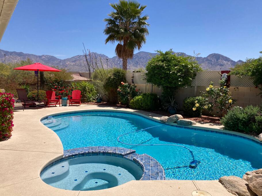 Pool cleaned twice weekly - Happy Cactus-Repeat Guest  & Direct Booking Site - Oro Valley