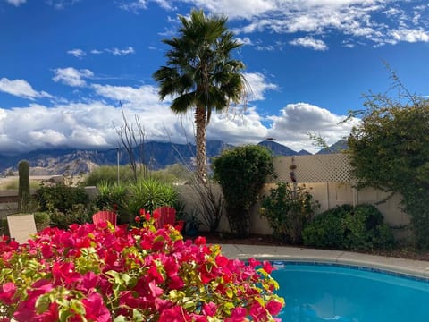 Happy Cactus: Repeat Guest /Direct Booking Site