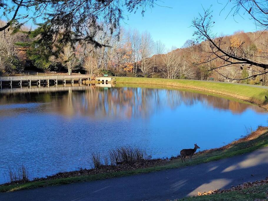 Enjoy fishing at Lake Coffey, just 1.8 miles away. - Ski + Hike: Outdoor Rec HQ w/HotTub, Firepit - Beech Mountain