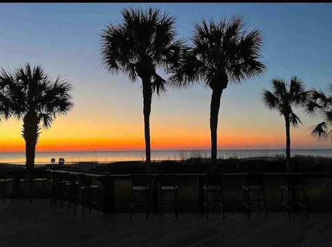 2BD Brigantine Quarters Condo-Dragonfly Layne