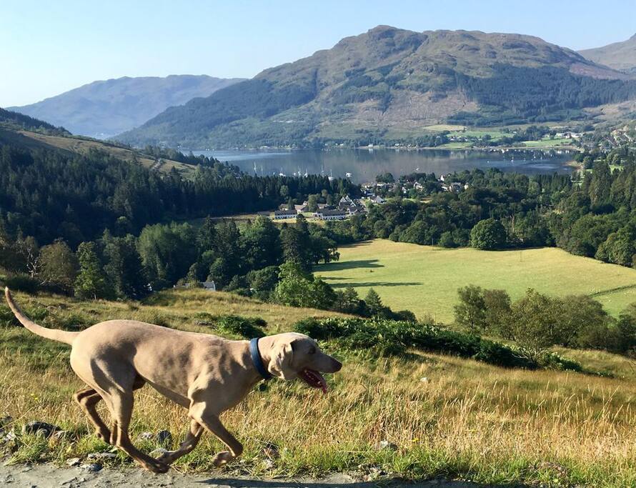 Up to 2 dogs welcome. They will love it. - Greenbank Lochgoilhead - Lochgoilhead